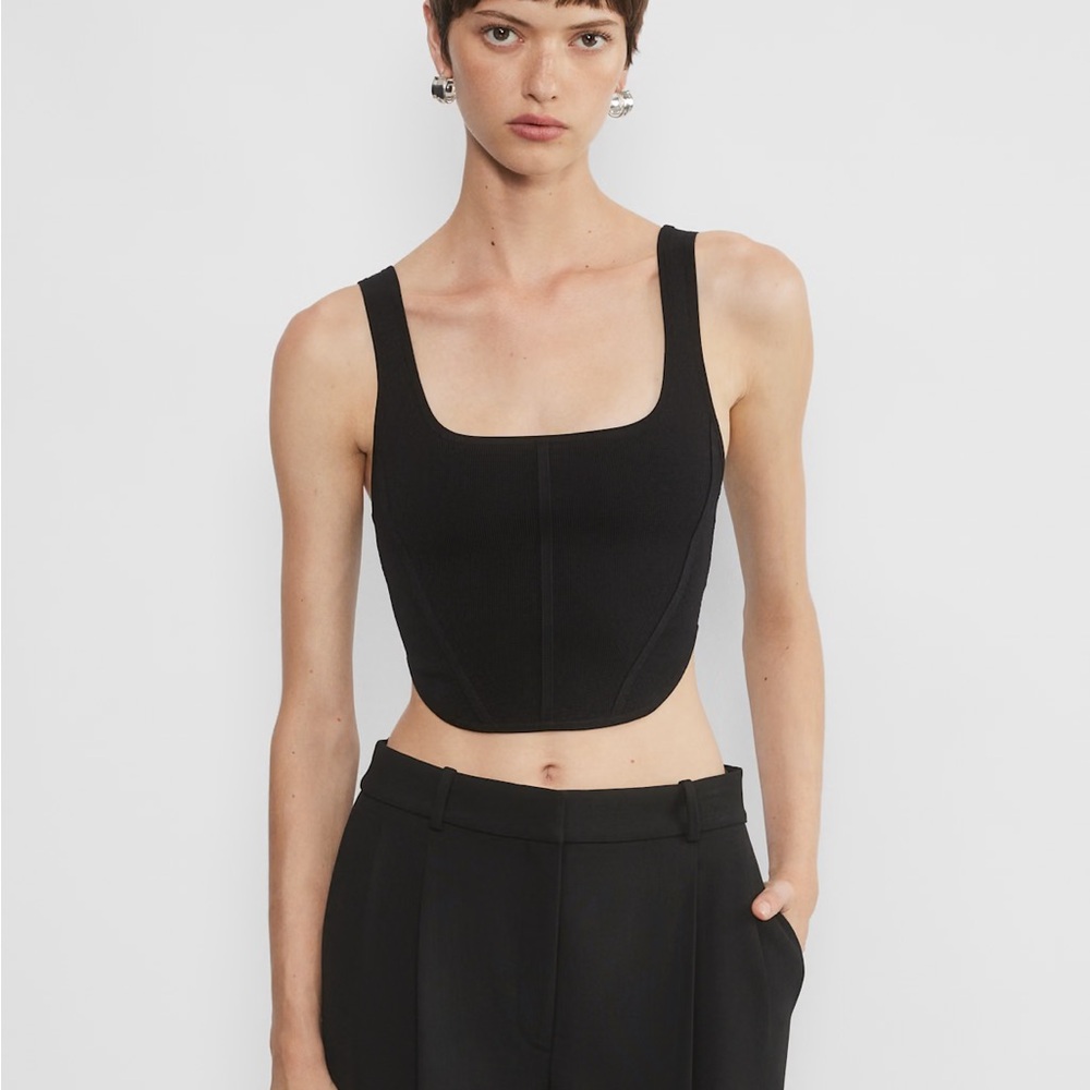 Aritzia Babaton Sculpt Knit Bustier Black Tank Top